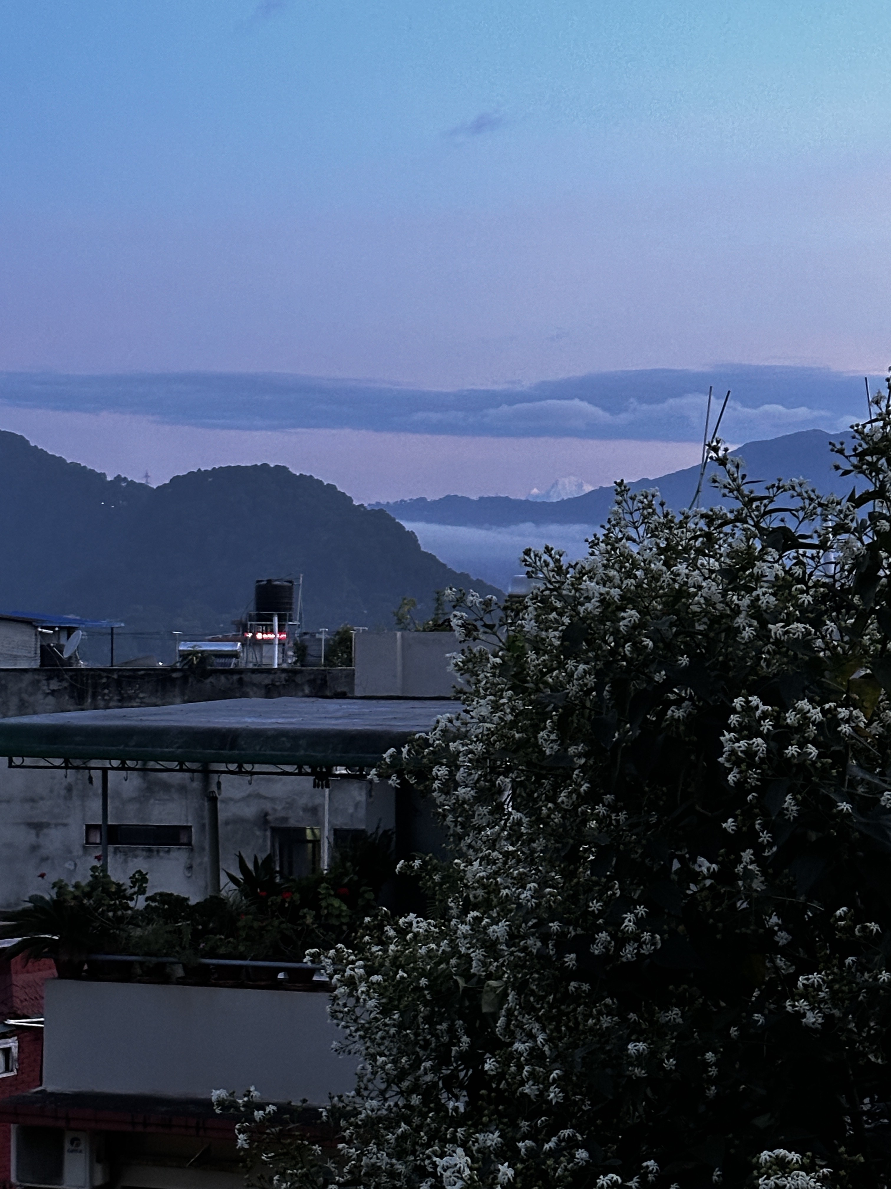 view from institute of natural medicine